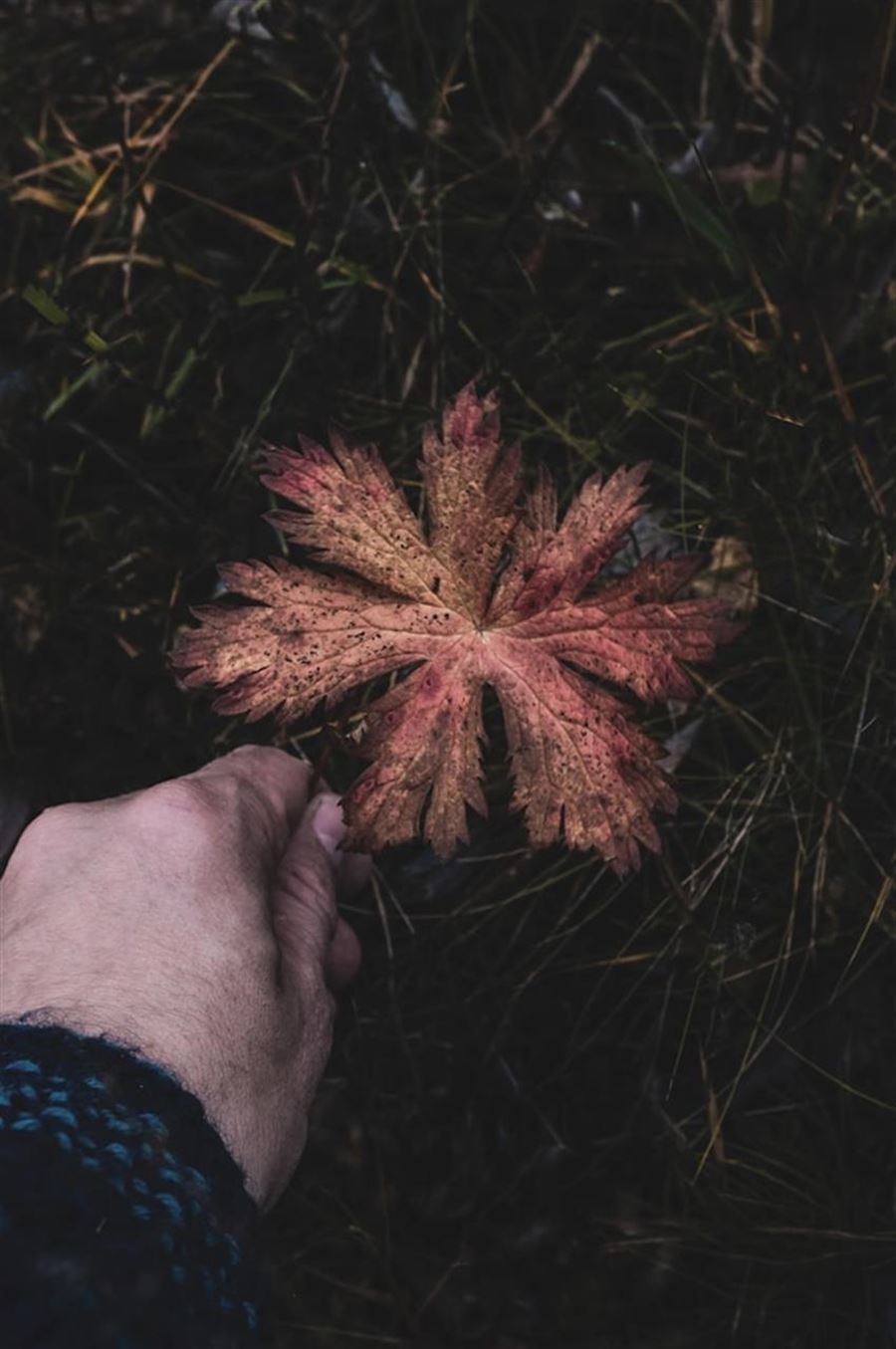 Giv din garderobe et løft med en uldtrøje